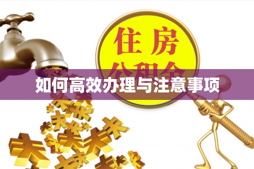 平泉如何高效办理与注意事项