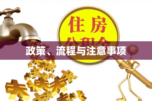 平泉政策、流程与注意事项