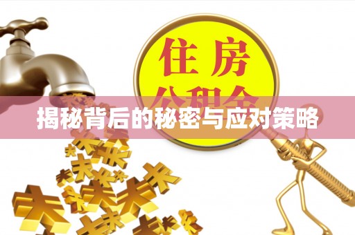 平泉揭秘背后的秘密与应对策略